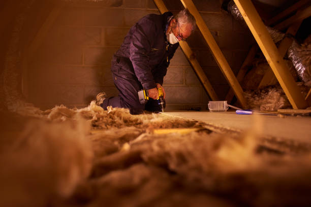 Types of Insulation We Offer in KY